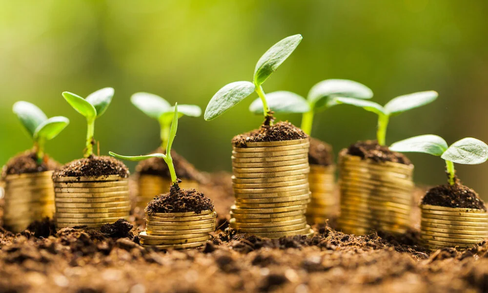 microloan