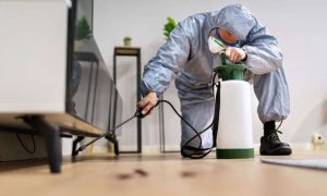 Pest Control Service