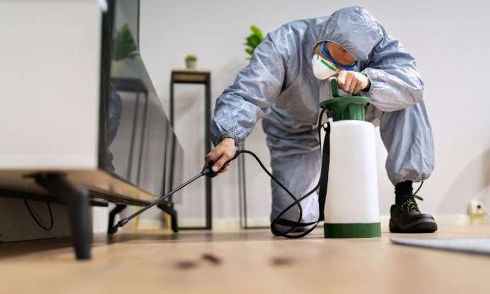 Pest Control Service